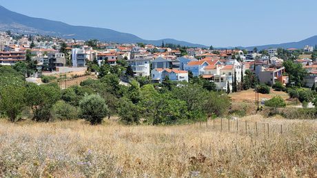 Land plot 4.200sqm for sale-Panorama » Oikismos Makedonia