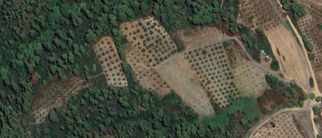 Land plot 2.158sqm for sale-Sithonia » Nikiti
