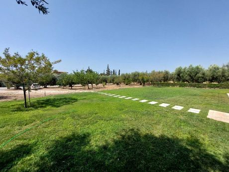 Land plot 19.000sqm for sale-Poligiros » Gerakini