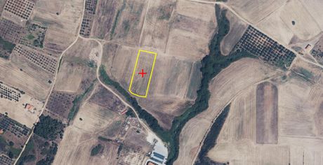 Land plot 4.910sqm for sale-Stagiron - Akanthou » Tripiti