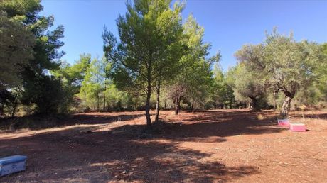 Land plot 1.206sqm for sale-Ormilia » Metamorfosi