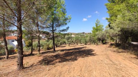 Land plot 3.208sqm for sale-Ormilia » Metamorfosi