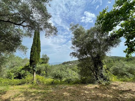 Land plot 5.020sqm for sale-Corfu » Pareli