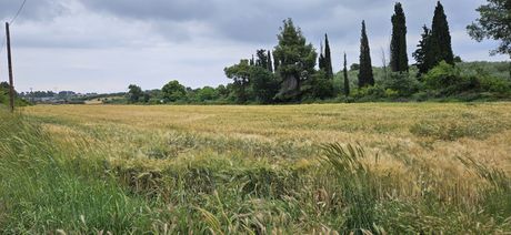 Land plot 14.500sqm for sale-Kassandra » Kassandreia
