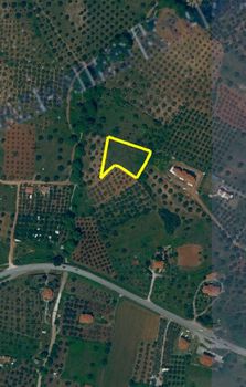 Land plot 4.000sqm for sale-Sithonia » Nikiti
