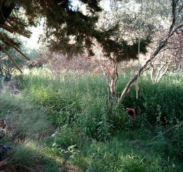 Οικόπεδο 500 τ.μ. για πώληση