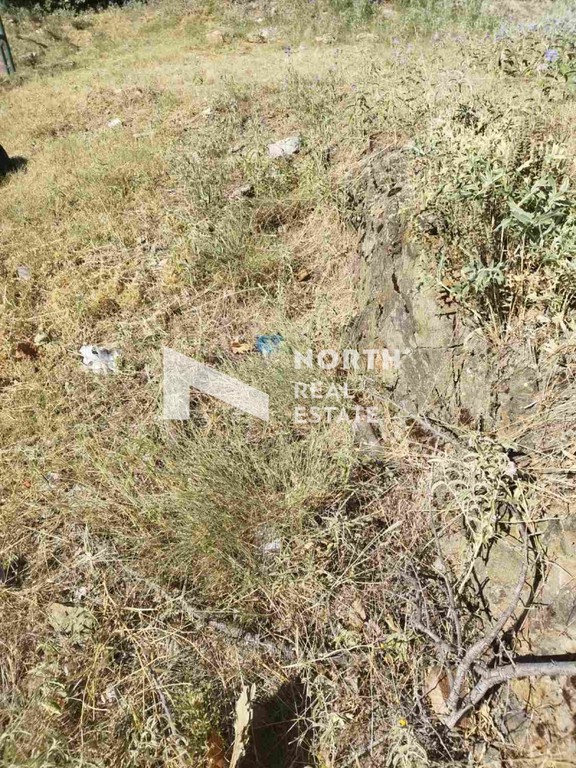 Οικόπεδο 17.600 τ.μ. προς πώληση, Καλύβες Πολυγύρου