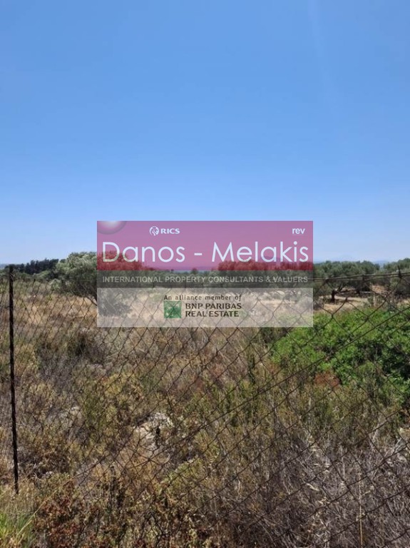 Οικόπεδο 6.306 τ.μ. προς πώληση, Κορακιές