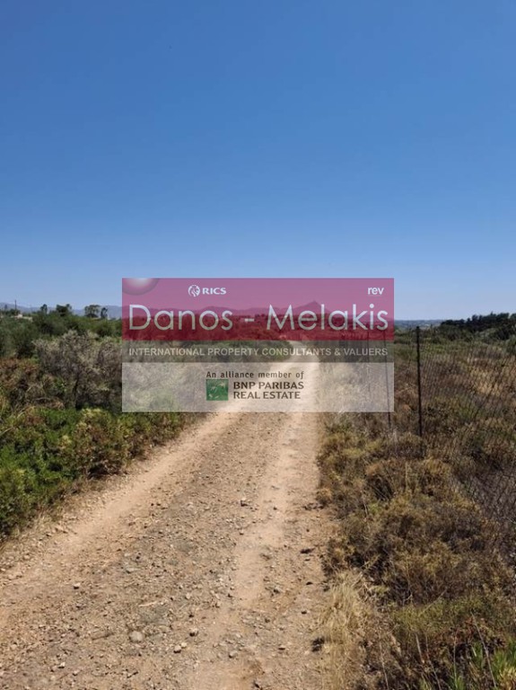 Οικόπεδο 6.306 τ.μ. προς πώληση, Κορακιές