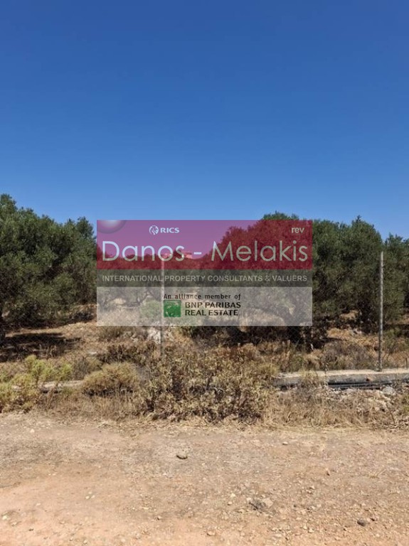 Οικόπεδο 6.306 τ.μ. προς πώληση, Κορακιές