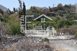 Αγροτεμάχια 2.000 τ.μ. για πώληση