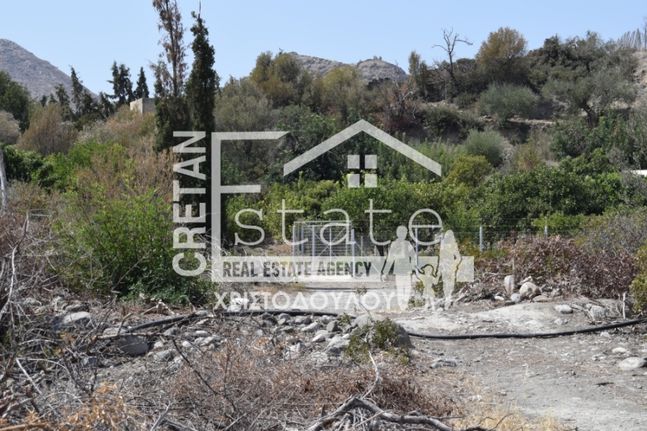 Αγροτεμάχια 2.000 τ.μ. για πώληση, Ν. Λασιθίου, Ιεράπετρα