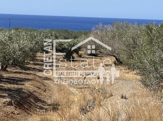 Οικόπεδο 4.290 τ.μ. για πώληση, Ν. Λασιθίου, Ιεράπετρα-thumb-7