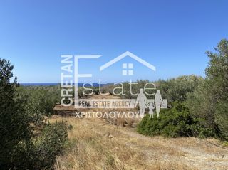Οικόπεδο 4.290 τ.μ. για πώληση, Ν. Λασιθίου, Ιεράπετρα-thumb-2