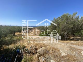 Οικόπεδο 4.290 τ.μ. για πώληση, Ν. Λασιθίου, Ιεράπετρα-thumb-8