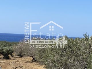 Οικόπεδο 4.290 τ.μ. για πώληση, Ν. Λασιθίου, Ιεράπετρα-thumb-5
