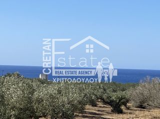 Οικόπεδο 4.290 τ.μ. για πώληση, Ν. Λασιθίου, Ιεράπετρα-thumb-4