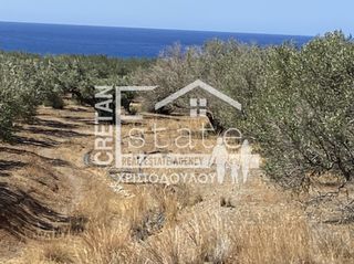 Οικόπεδο 4.290 τ.μ. για πώληση, Ν. Λασιθίου, Ιεράπετρα-thumb-6