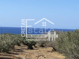 Οικόπεδο 4.290 τ.μ. για πώληση, Ν. Λασιθίου, Ιεράπετρα-thumb-3