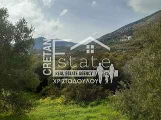 Οικόπεδο 100 τ.μ. προς πώληση, Ριζά Ιεράπετρας-thumb-13