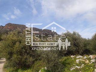 Οικόπεδο 100 τ.μ. προς πώληση, Ριζά Ιεράπετρας-thumb-8