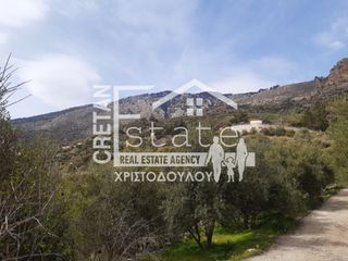 Οικόπεδο 100 τ.μ. προς πώληση, Ριζά Ιεράπετρας-thumb-9