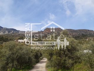 Οικόπεδο 100 τ.μ. προς πώληση, Ριζά Ιεράπετρας-thumb-10