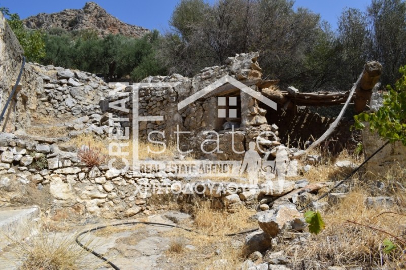 Μονοκατοικία 80 τ.μ. προς πώληση, Ριζά Ιεράπετρας
