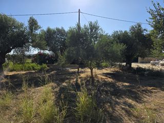 Οικόπεδο 2.880 τ.μ. προς πώληση, Γιάλοβα-thumb-1
