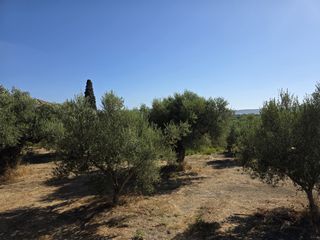 Οικόπεδο 2.880 τ.μ. προς πώληση, Γιάλοβα-thumb-4