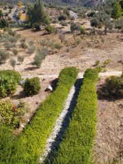 Βίλλα 380 τ.μ. προς πώληση, Γυμνό Αμαρύνθου-thumb-31