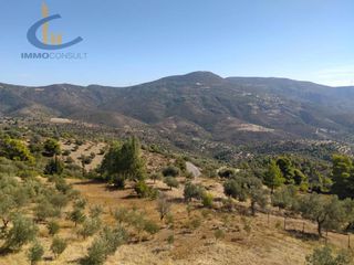 Βίλλα 380 τ.μ. προς πώληση, Γυμνό Αμαρύνθου-thumb-29
