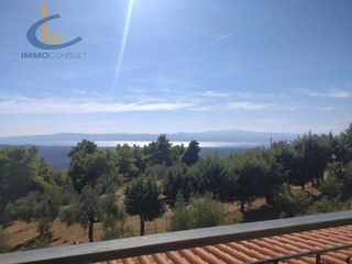 Βίλλα 380 τ.μ. προς πώληση, Γυμνό Αμαρύνθου-thumb-20