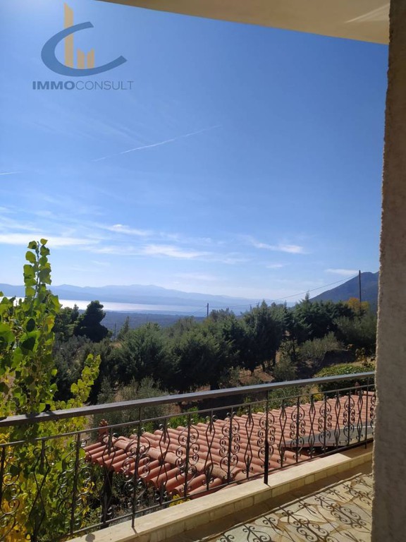 Βίλλα 380 τ.μ. πρός πώληση, Εύβοια, Αμάρυνθος
