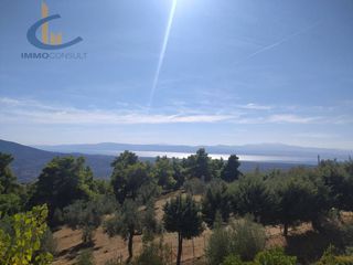 Βίλλα 380 τ.μ. προς πώληση, Γυμνό Αμαρύνθου-thumb-1