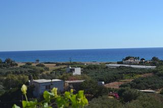 Οικόπεδο 1.000 τ.μ. για πώληση