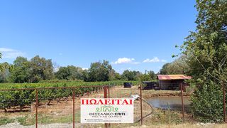 Other 14.000 sqm for sale
