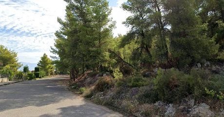Land plot 1.009sqm for sale-Malesina » Theologos