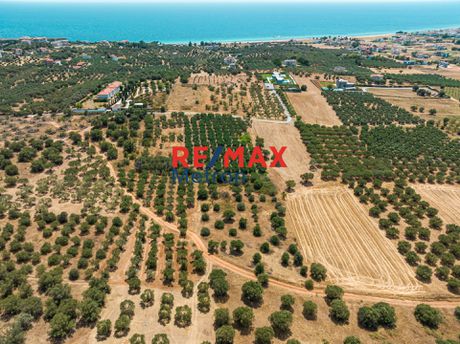 Αγροτεμάχια 4.300τ.μ. για πώληση-Μουδανιά