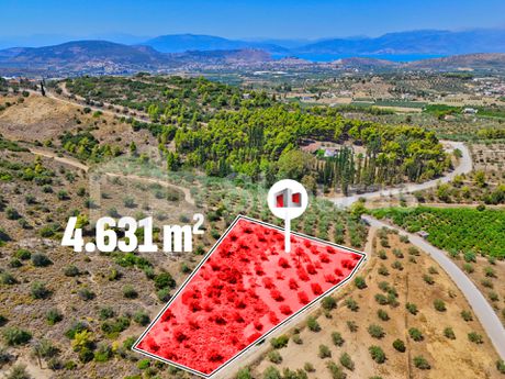 Αγροτεμάχια 4.631τ.μ. για πώληση-Νέα τίρυνθα