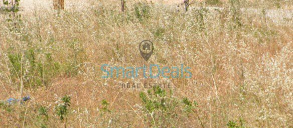 Land plot 195 sqm for sale, Athens - East, Artemida (loutsa)