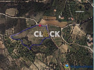 Αγροτεμάχια 20.623 τ.μ. για πώληση