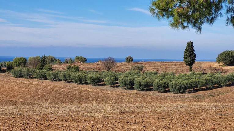 Land plot 13.600 sqm for sale, Chalkidiki, Kassandra