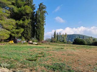 Οικόπεδο 3.500 τ.μ. για πώληση