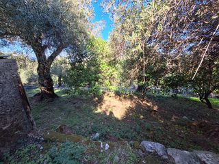 Μεζονέτα 140 τ.μ. προς πώληση, Θινάλιο-thumb-25