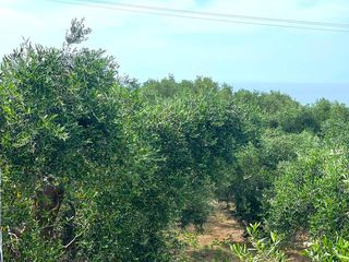 Μεζονέτα 140 τ.μ. προς πώληση, Θινάλιο-thumb-26