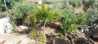 Κτίριο 155 τ.μ. για πώληση, Ν. Καβάλας, Ελευθερές-thumb-11