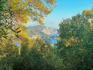 Οικόπεδο 196 τ.μ. για πώληση