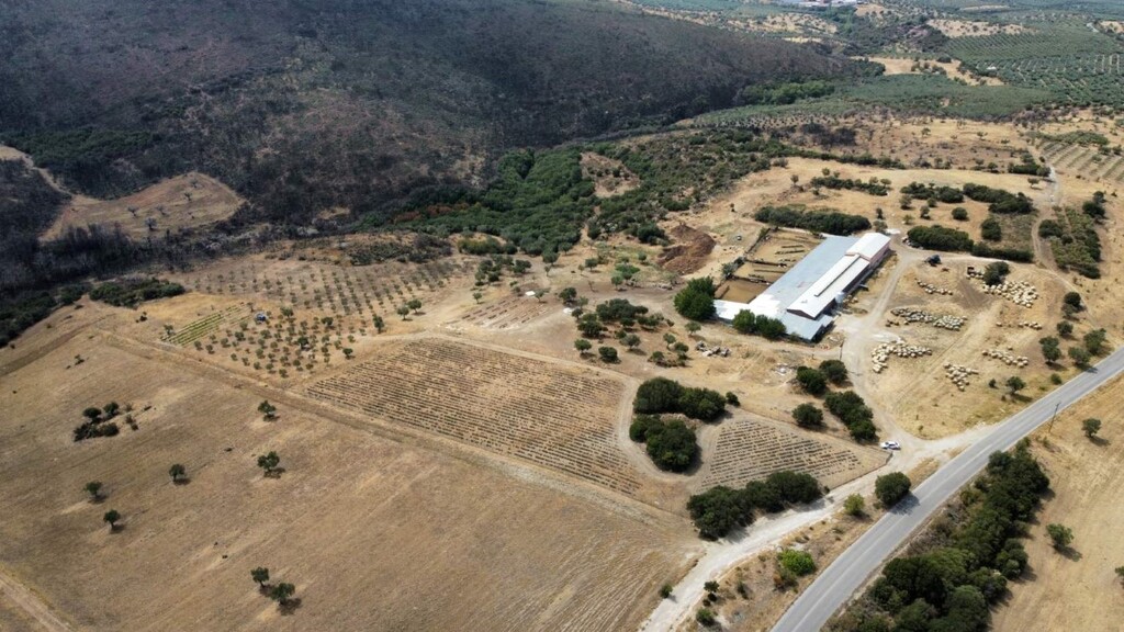 Οικόπεδο 11.500 τ.μ. προς πώληση, Πατελιδάς