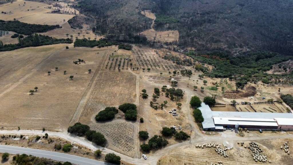 Οικόπεδο 11.500 τ.μ. προς πώληση, Πατελιδάς